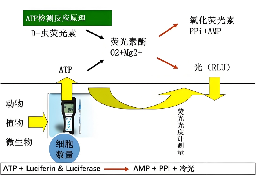 短波紅外光纖光譜儀（100 %國產(chǎn)化）