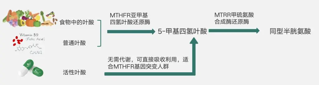 备孕的你还在每天补充0.4mg叶酸?