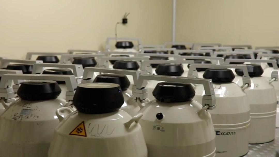 龙年接龙宝 | 带你揭秘囊胚的冷冻与复苏！