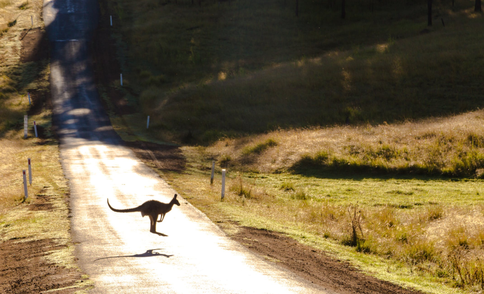 澳洲留学九大真香定律,你中了哪条? 澳洲留学九大真香定律,你中了哪条?