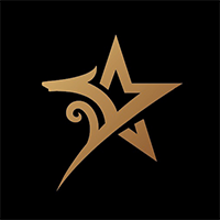 数字化运营服务商