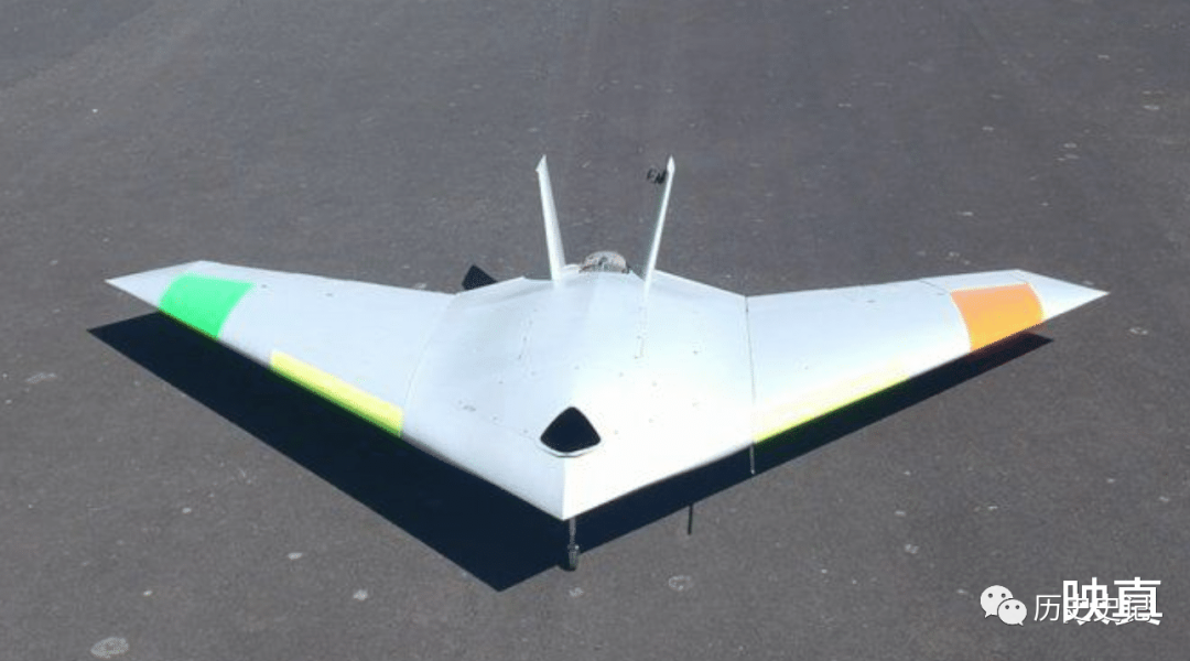 蜻蜓为何是飞行界的王牌？诡异的飞行，科学家研究多年依然头痛的图2