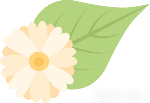 什么是vsd负压引流负压封闭引流术以下内容要知熟_https://www.jmylbn.com_新闻资讯_第21张