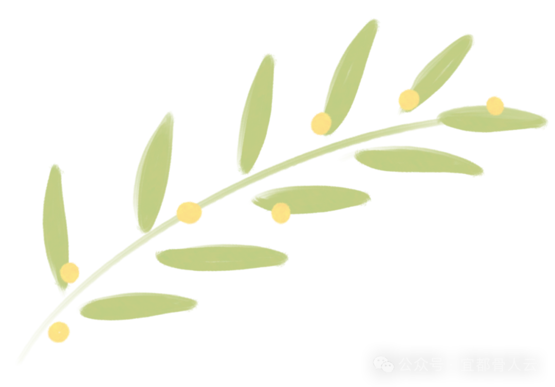 什么是vsd负压引流负压封闭引流术以下内容要知熟_https://www.jmylbn.com_新闻资讯_第4张