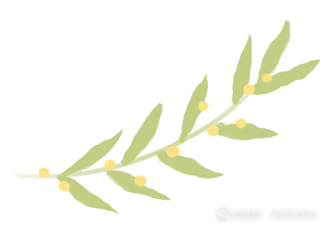 什么是vsd负压引流负压封闭引流术以下内容要知熟_https://www.jmylbn.com_新闻资讯_第2张