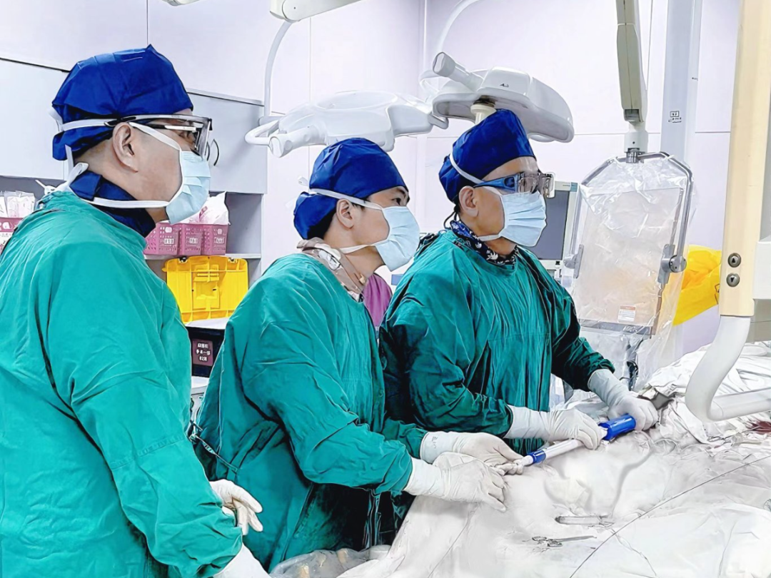 泥鳅导丝怎么用曲乐丰教授团队：0.018＂和0.035＂普通泥鳅导丝行胸主动脉弓上分支原位开窗的病例分享_https://www.jmylbn.com_新闻资讯_第45张