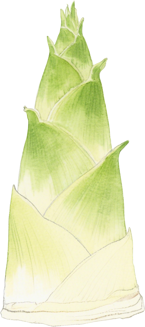 微信图片_2026-06-25_161815_133.png