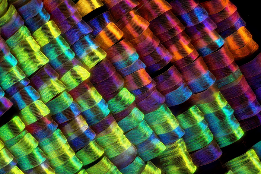 致敬科技工作者！EVIDENT多重好禮等您來領(lǐng)??！