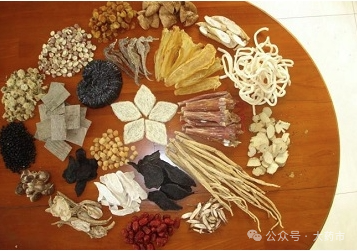 中药材大全药材认识：风不动的功效与作用