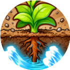 生命之树找水源