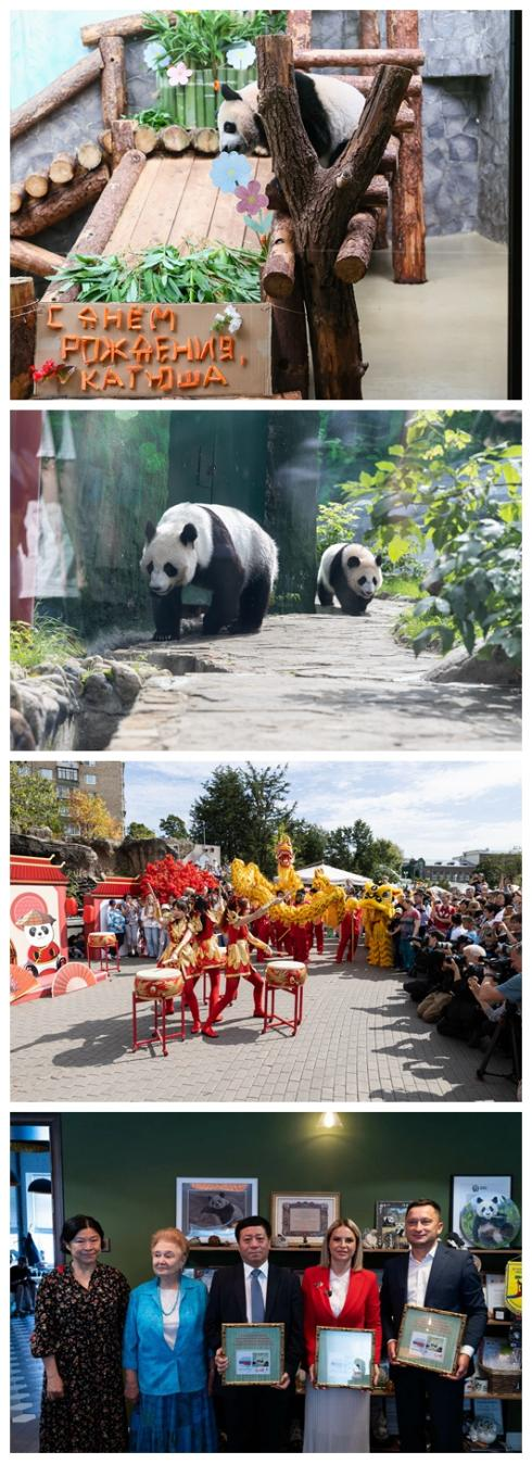 微信截图_20240829175528.png