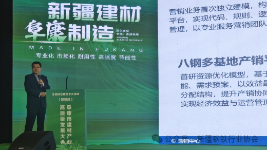 新疆钢铁行业协会应邀参加全国绿色建材下乡活动（新疆站）启动仪式(图3)