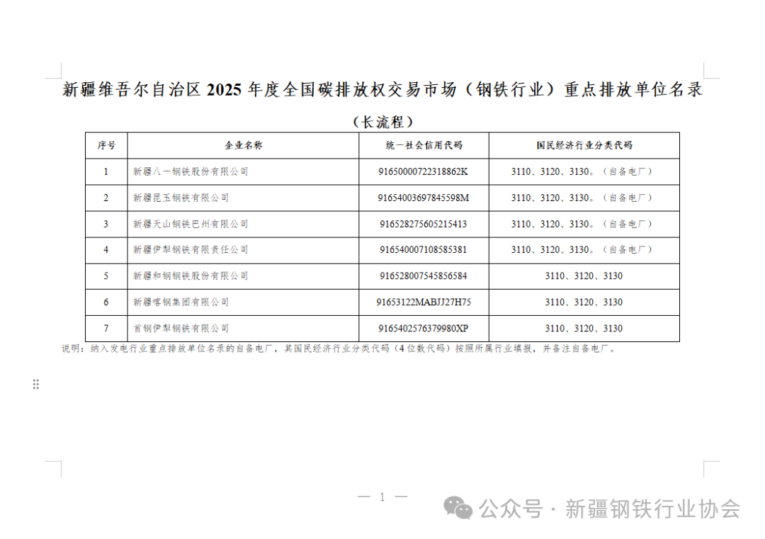 新疆：2024、2025年度全国碳排放权交易市场（钢铁行业）重点排放单位名单(图5)