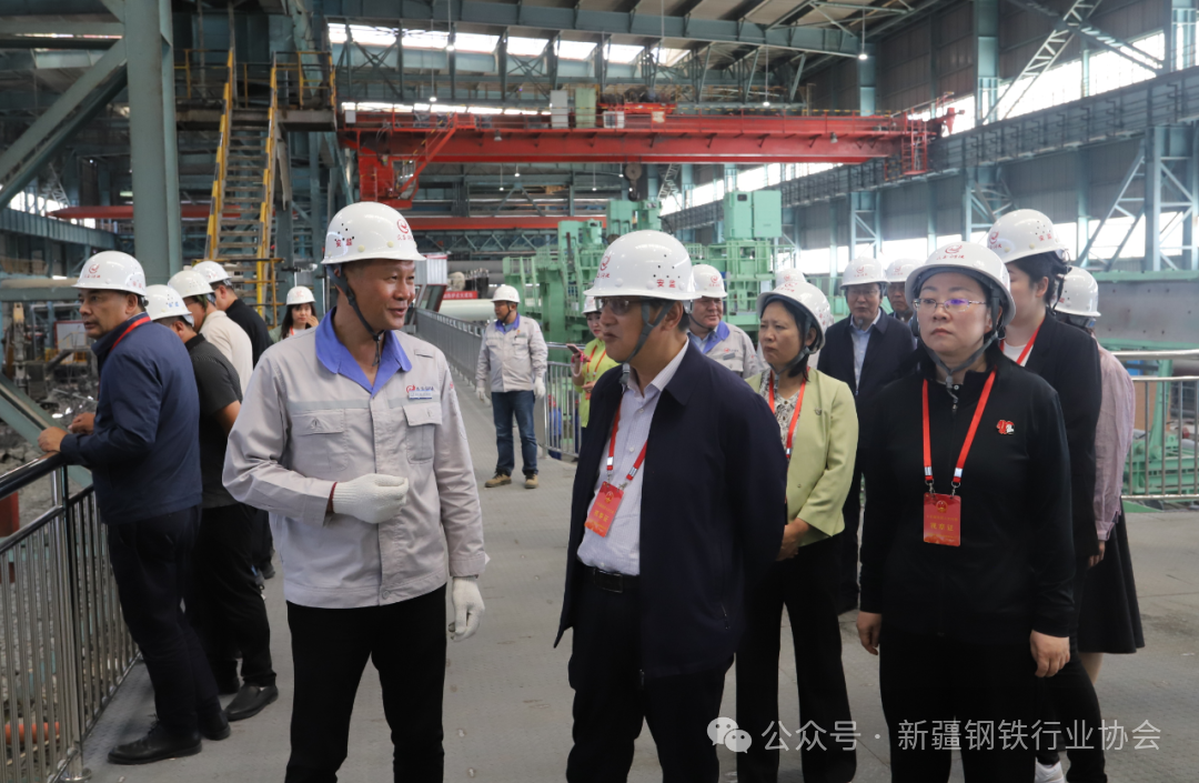 自治区人大常委会党组副书记、副主任李宁平一行调研昆玉钢铁(图2)