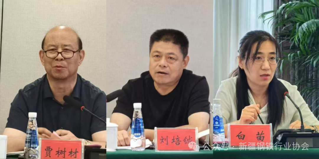 2025年地方钢铁行业协会负责人座谈会在青岛召开(图8)
