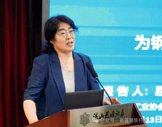 2025年地方钢铁行业协会负责人座谈会在青岛召开(图2)