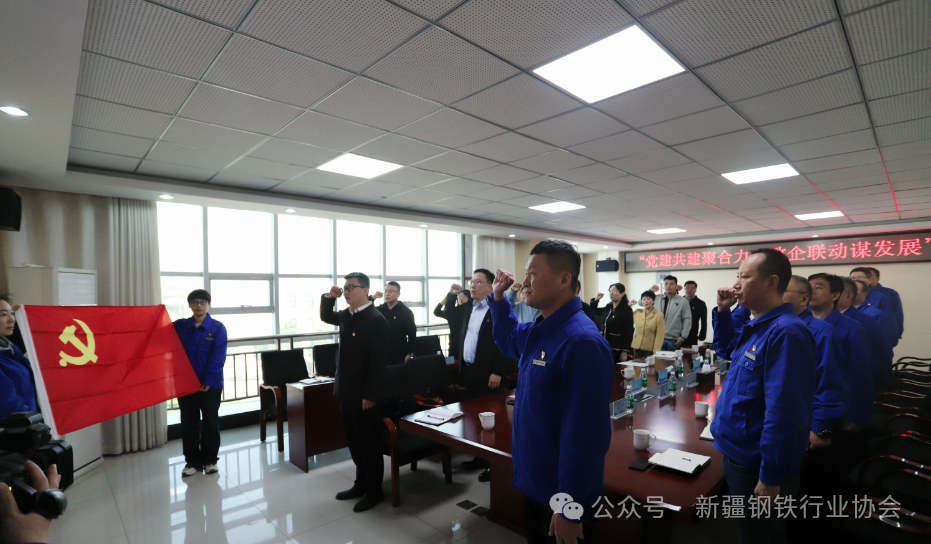 新疆钢协、自治区工信厅相关处室同昆玉钢铁开展支部共建(图3)