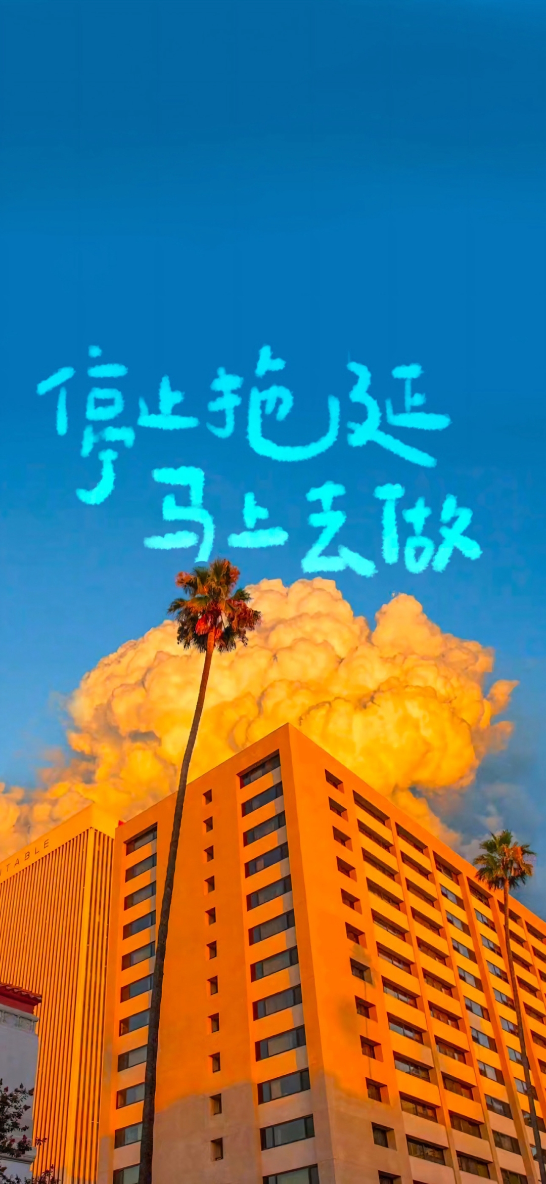 风景
