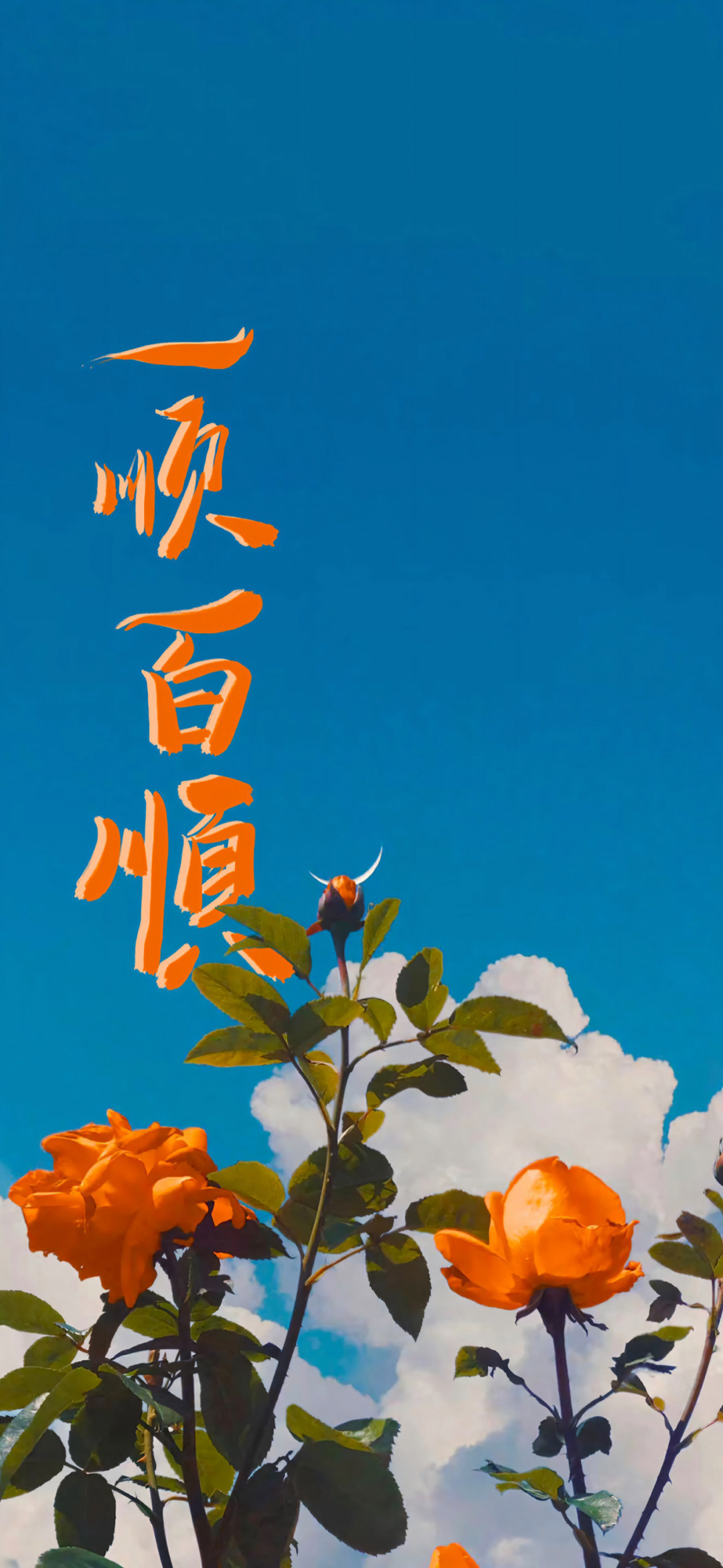 风景