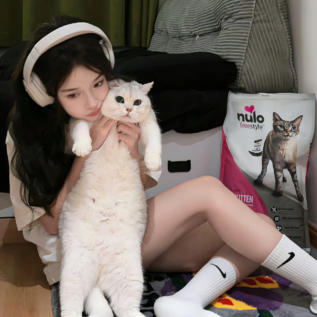戴耳机抱着猫咪甜妹女生头像