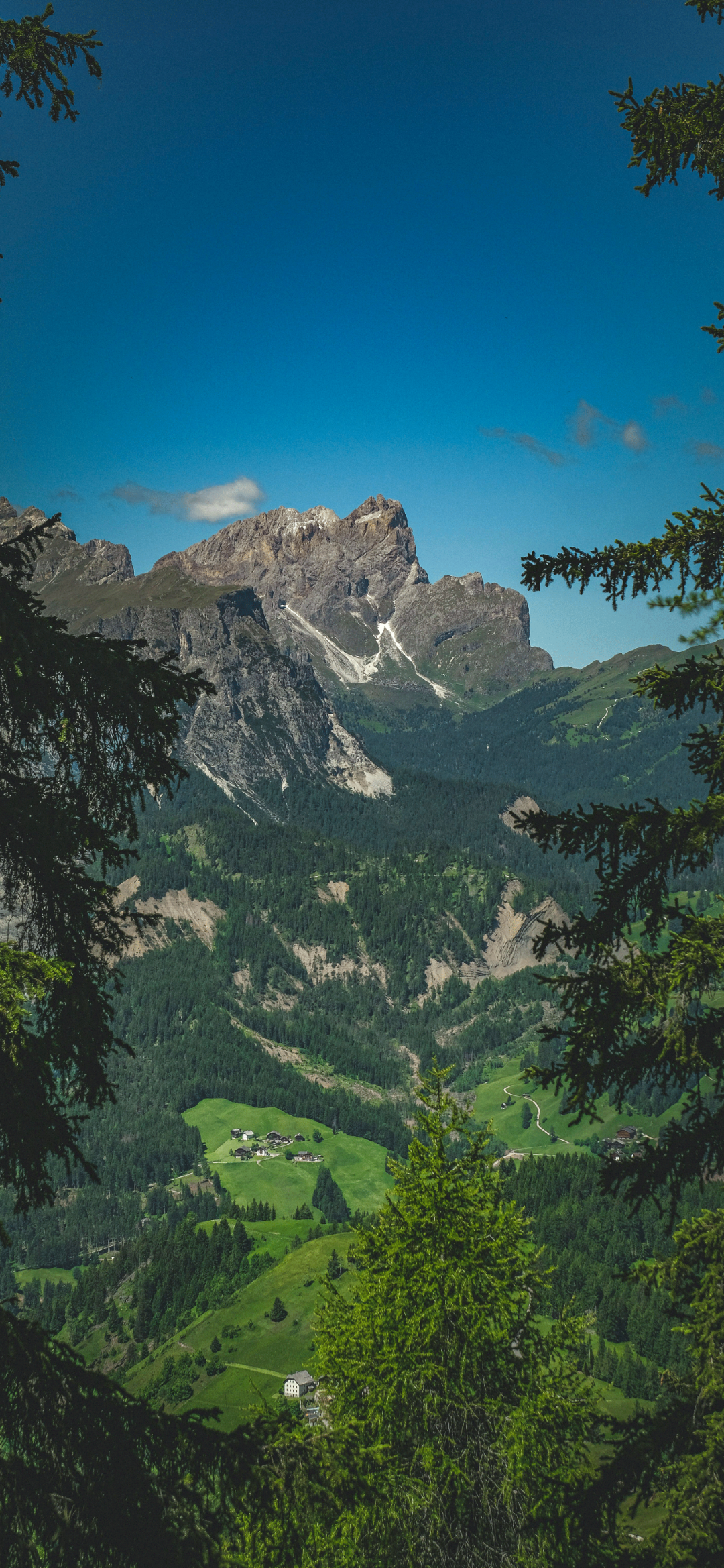 风景