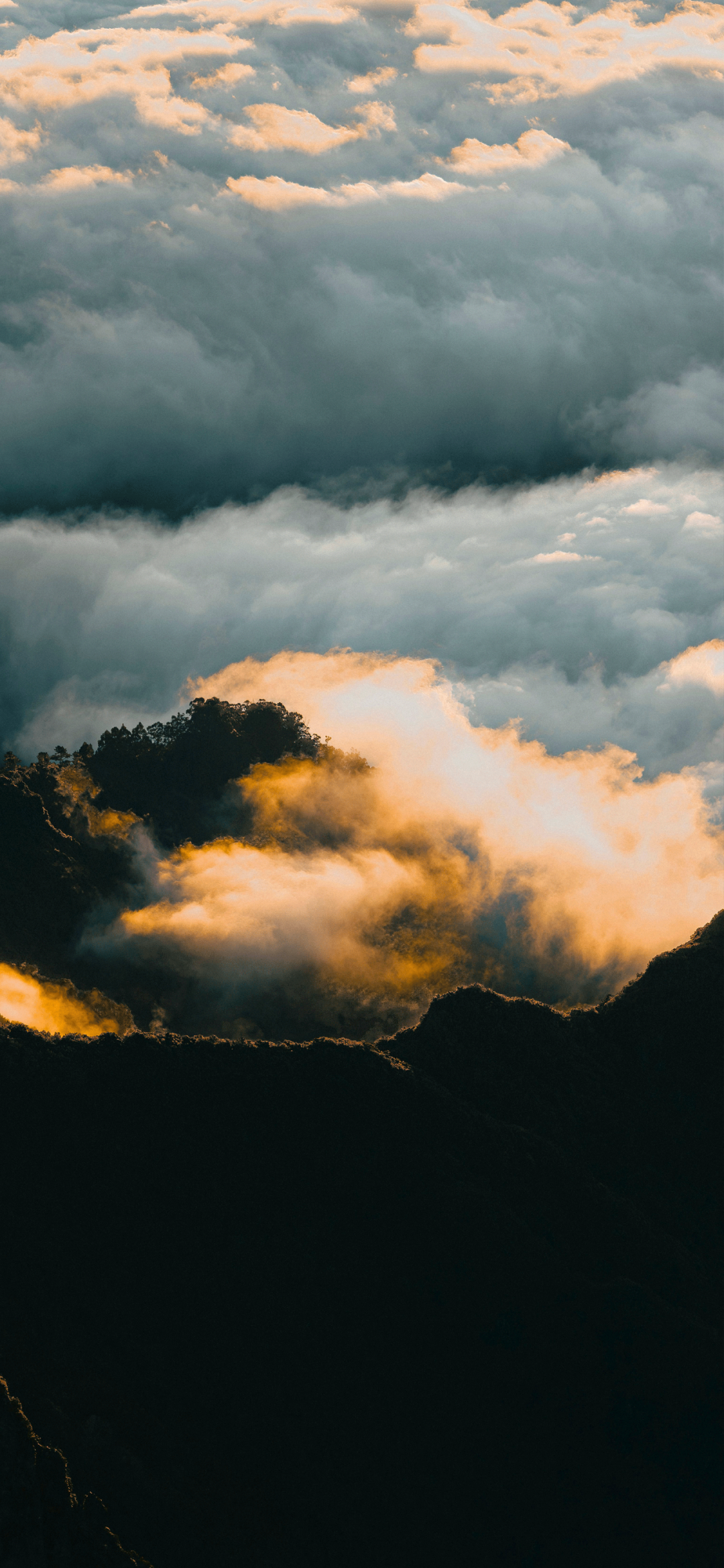 风景