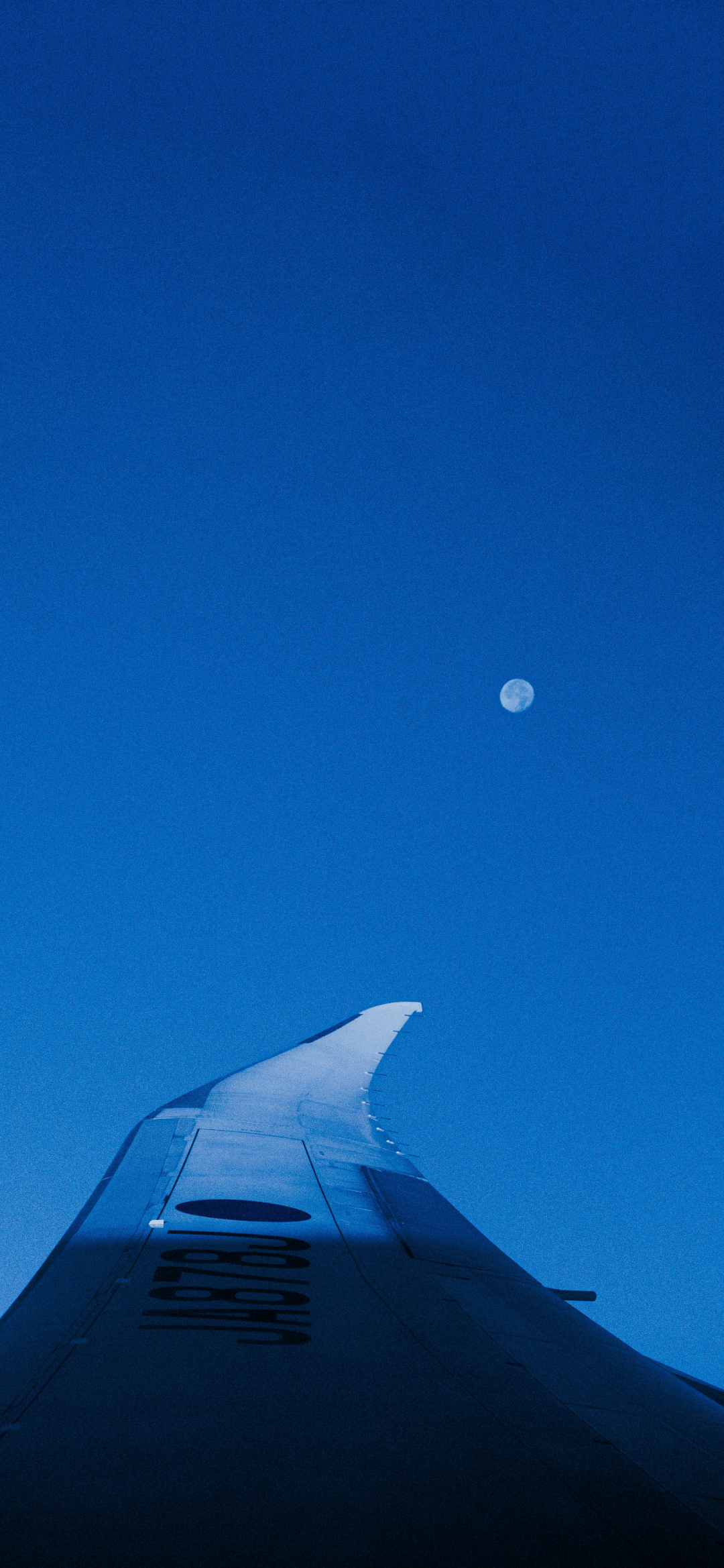 风景