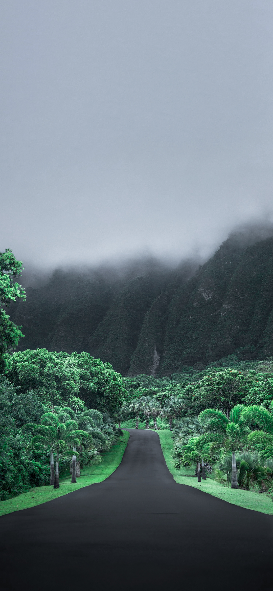 风景