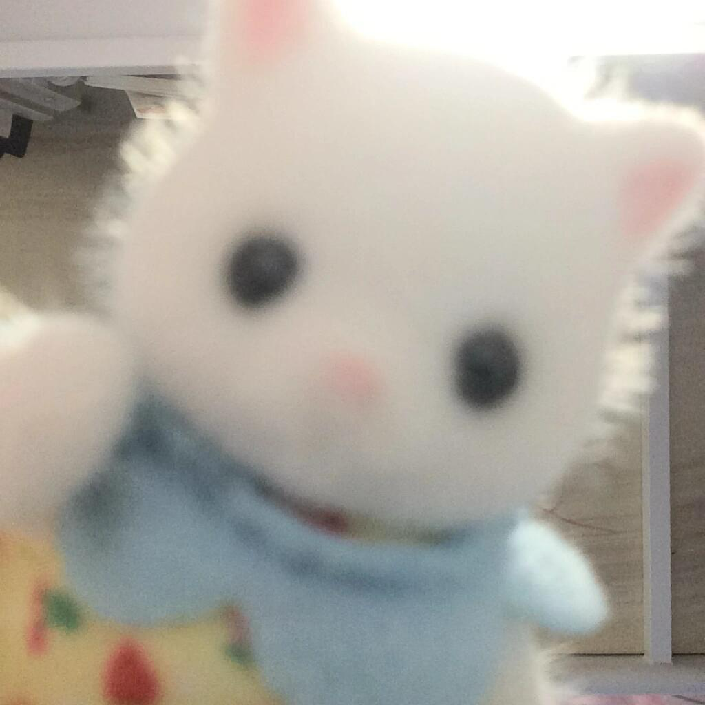 可爱猫咪玩偶萌宠头像