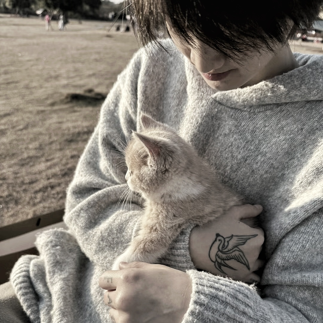 抱着猫咪帅气男生头像