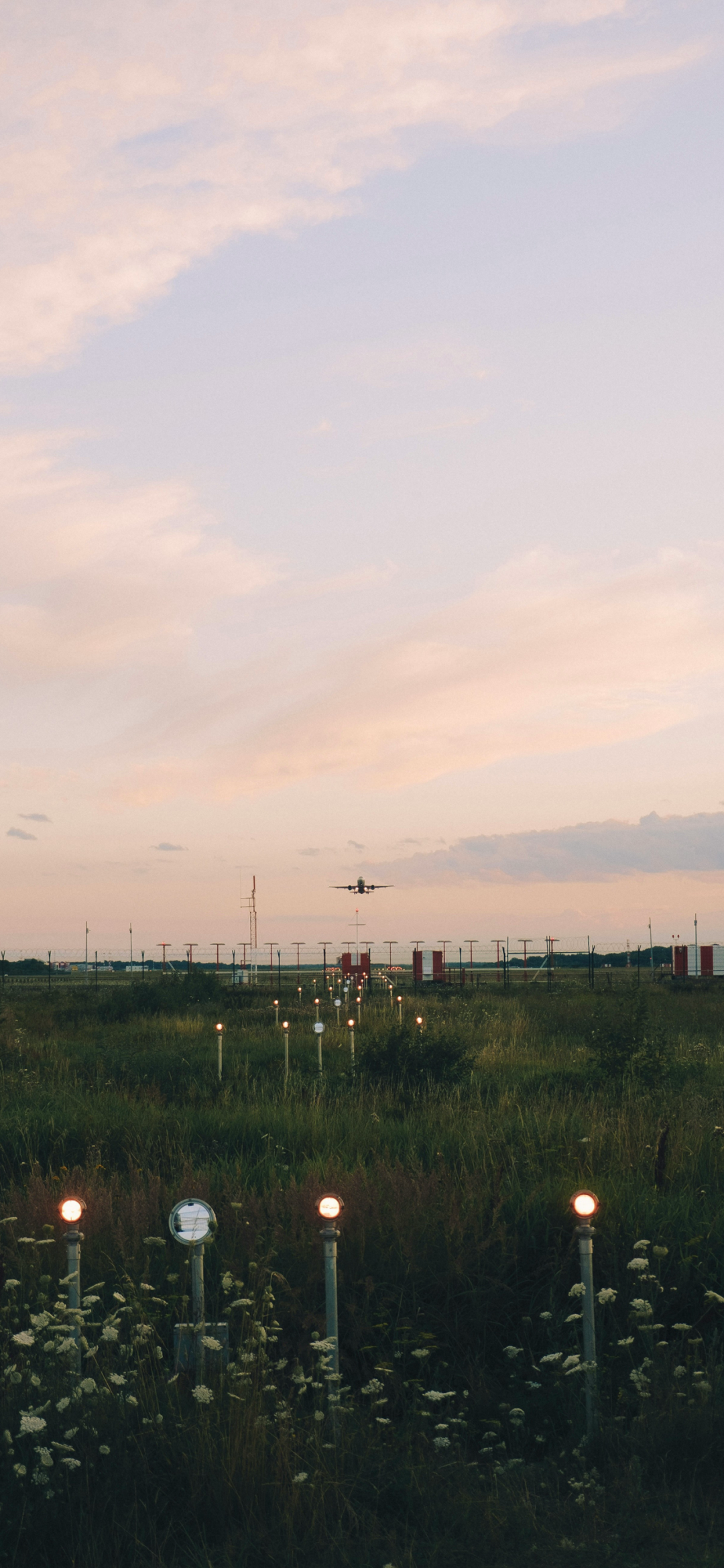 风景