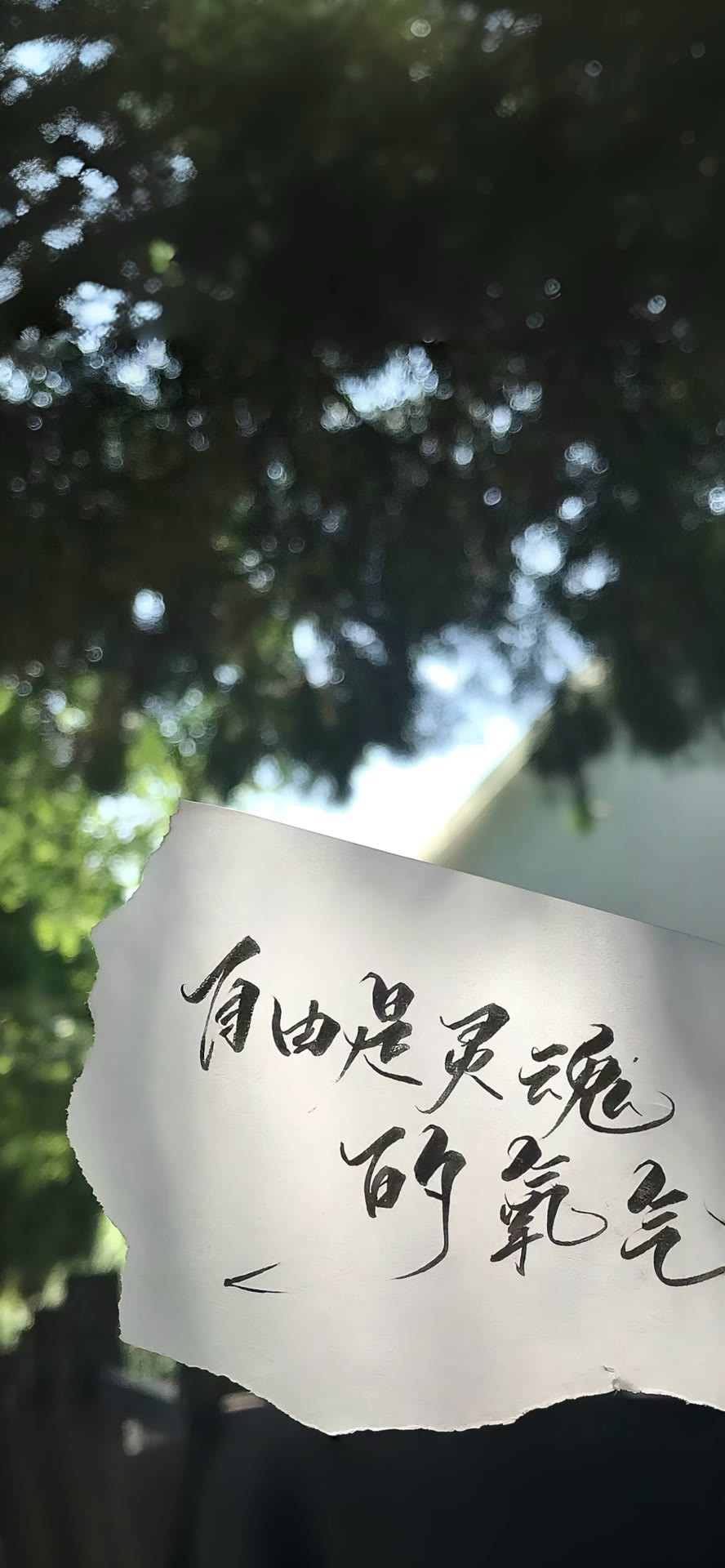 风景