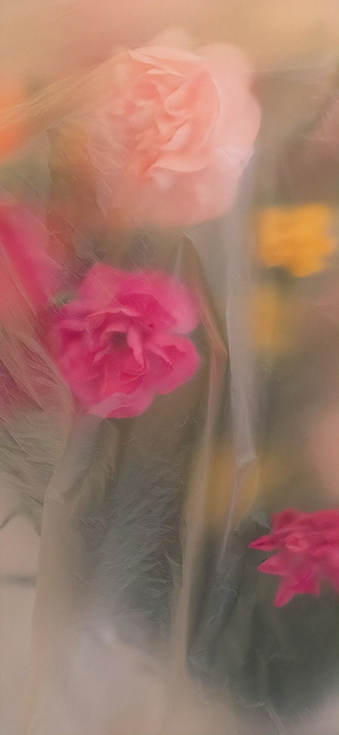 什锦