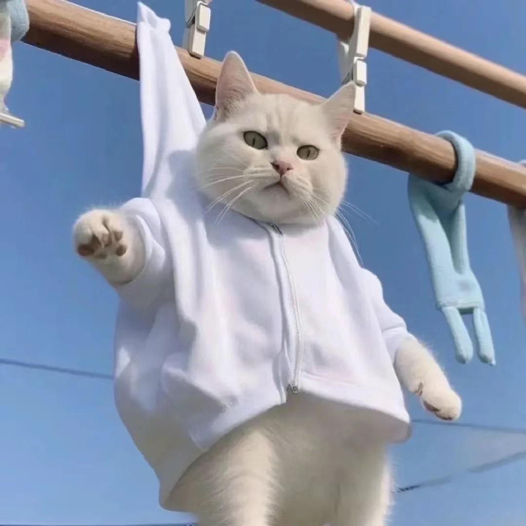 沙雕搞怪猫咪萌宠头像