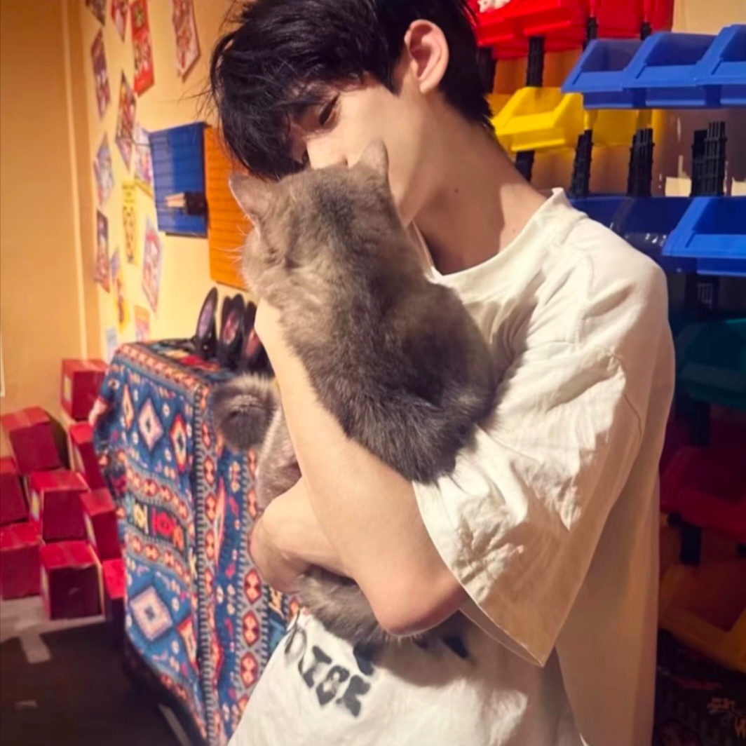 抱着猫咪帅气男生头像