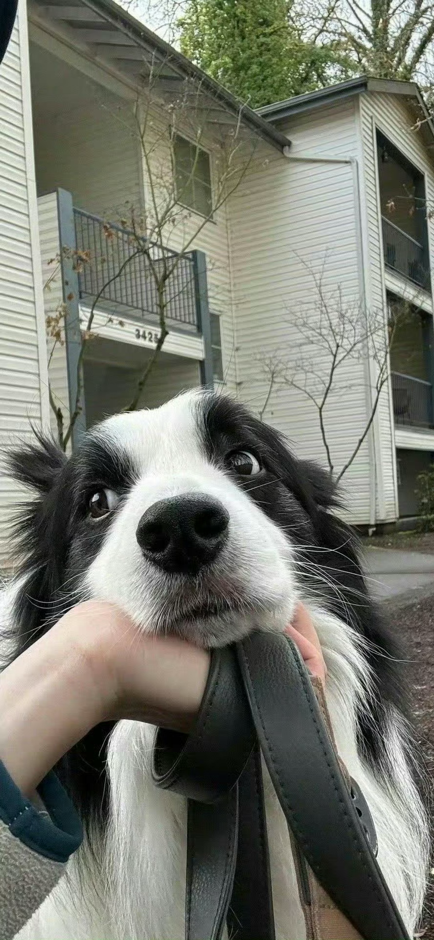 什锦