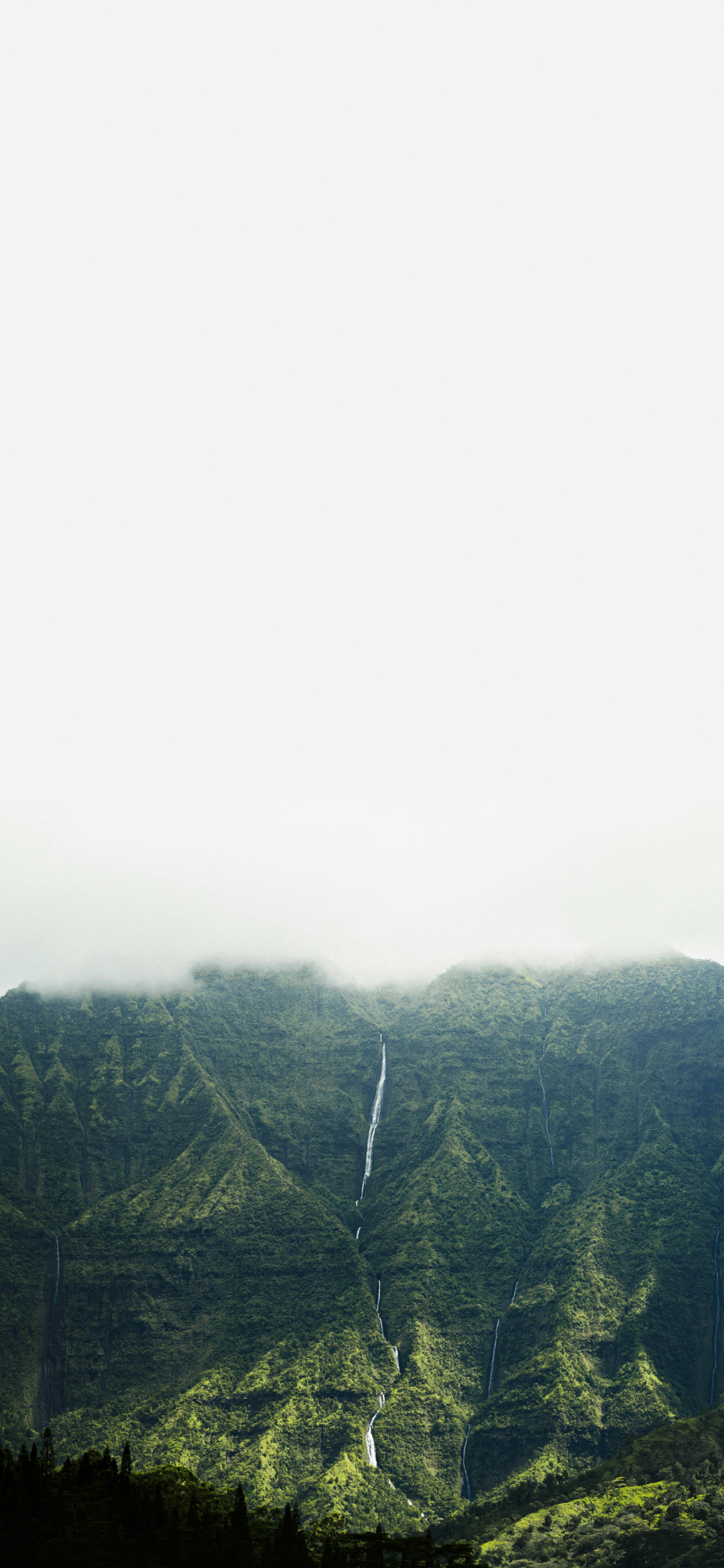 风景