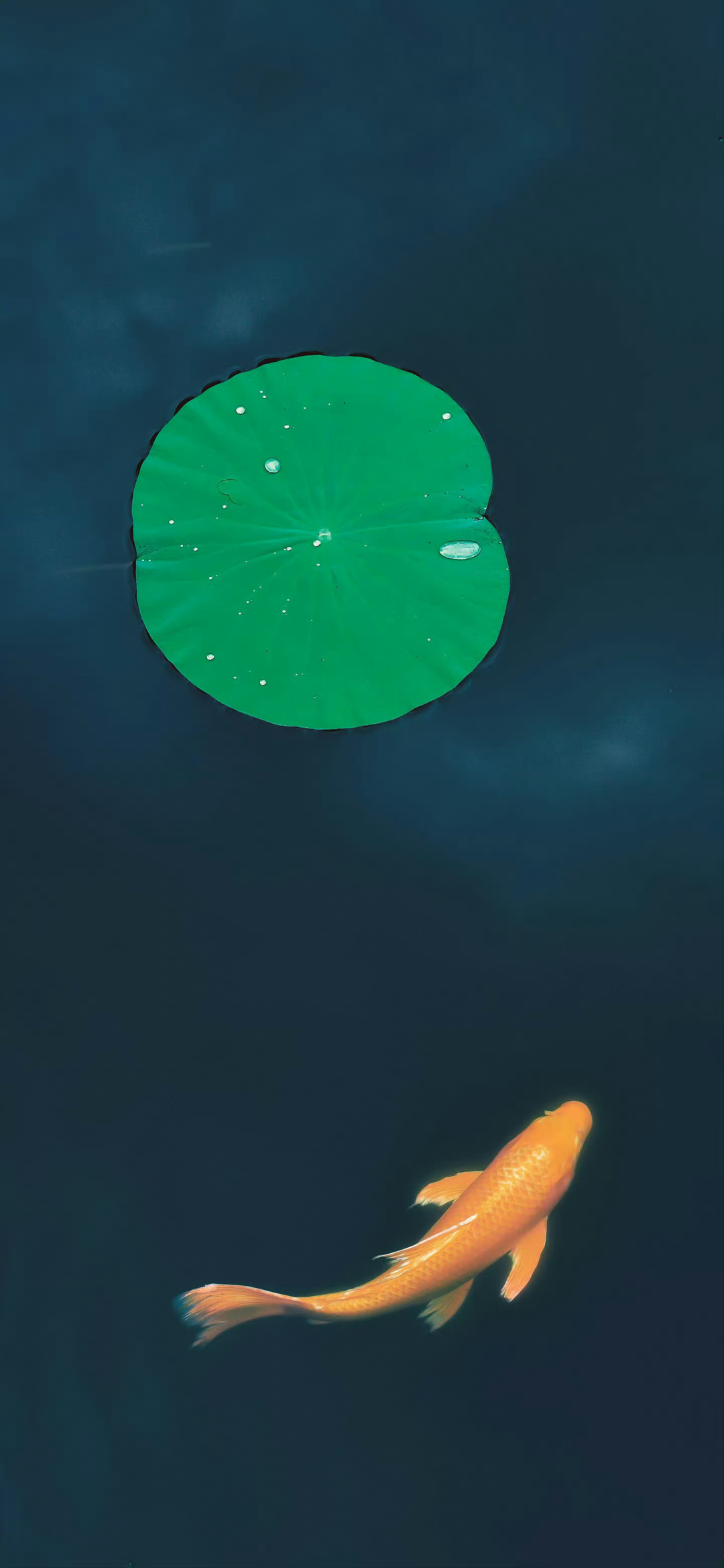 什锦
