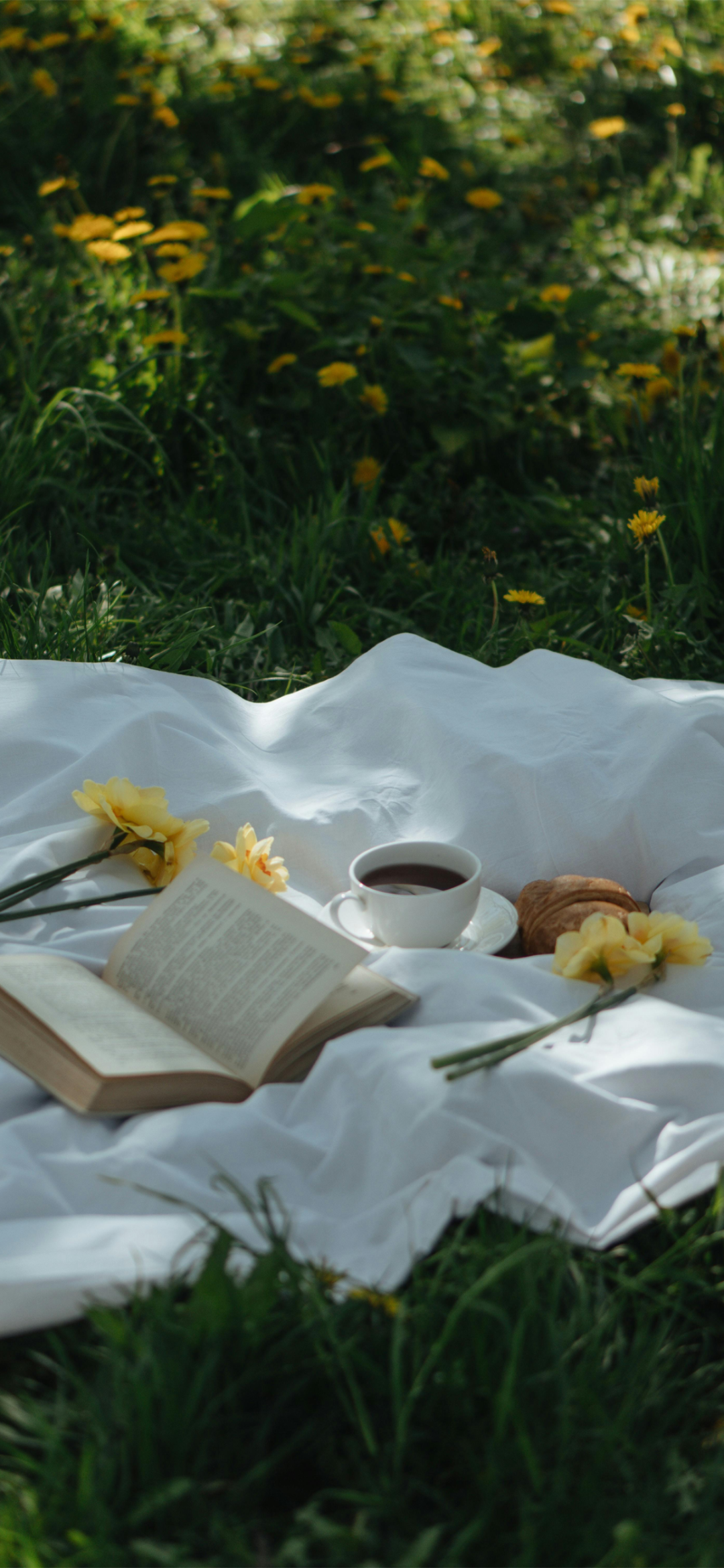 风景