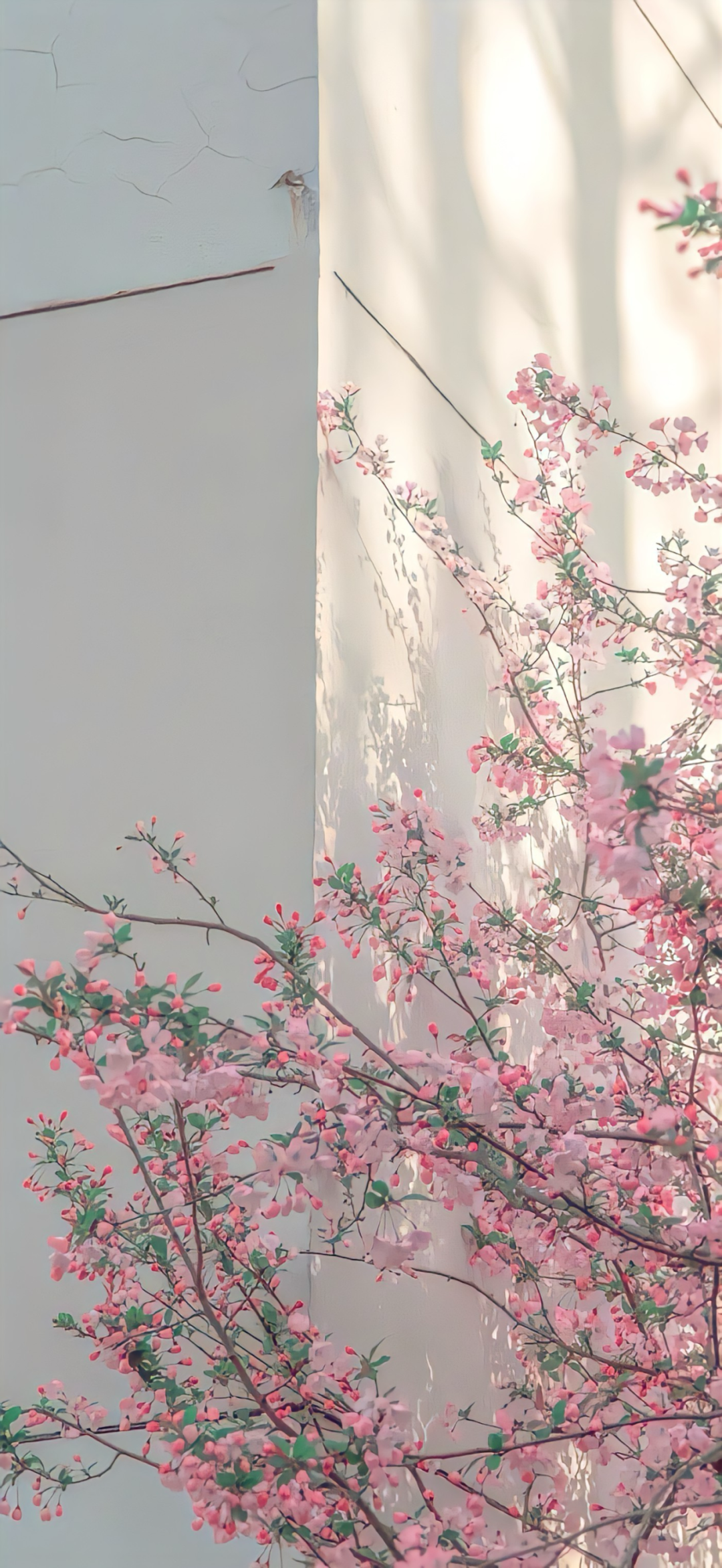 风景