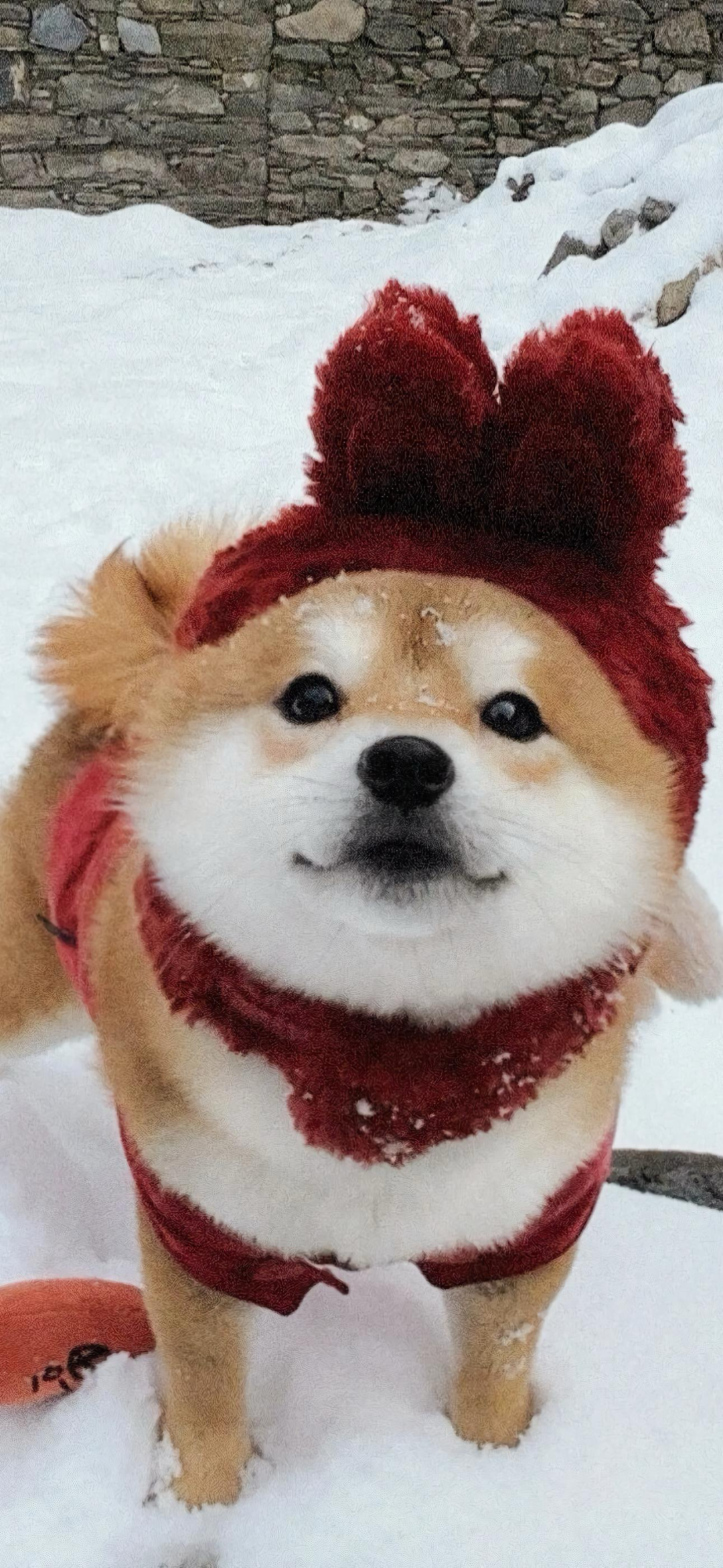 什锦