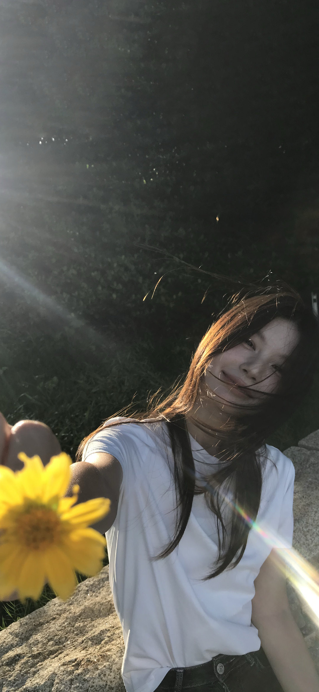 抖音热门