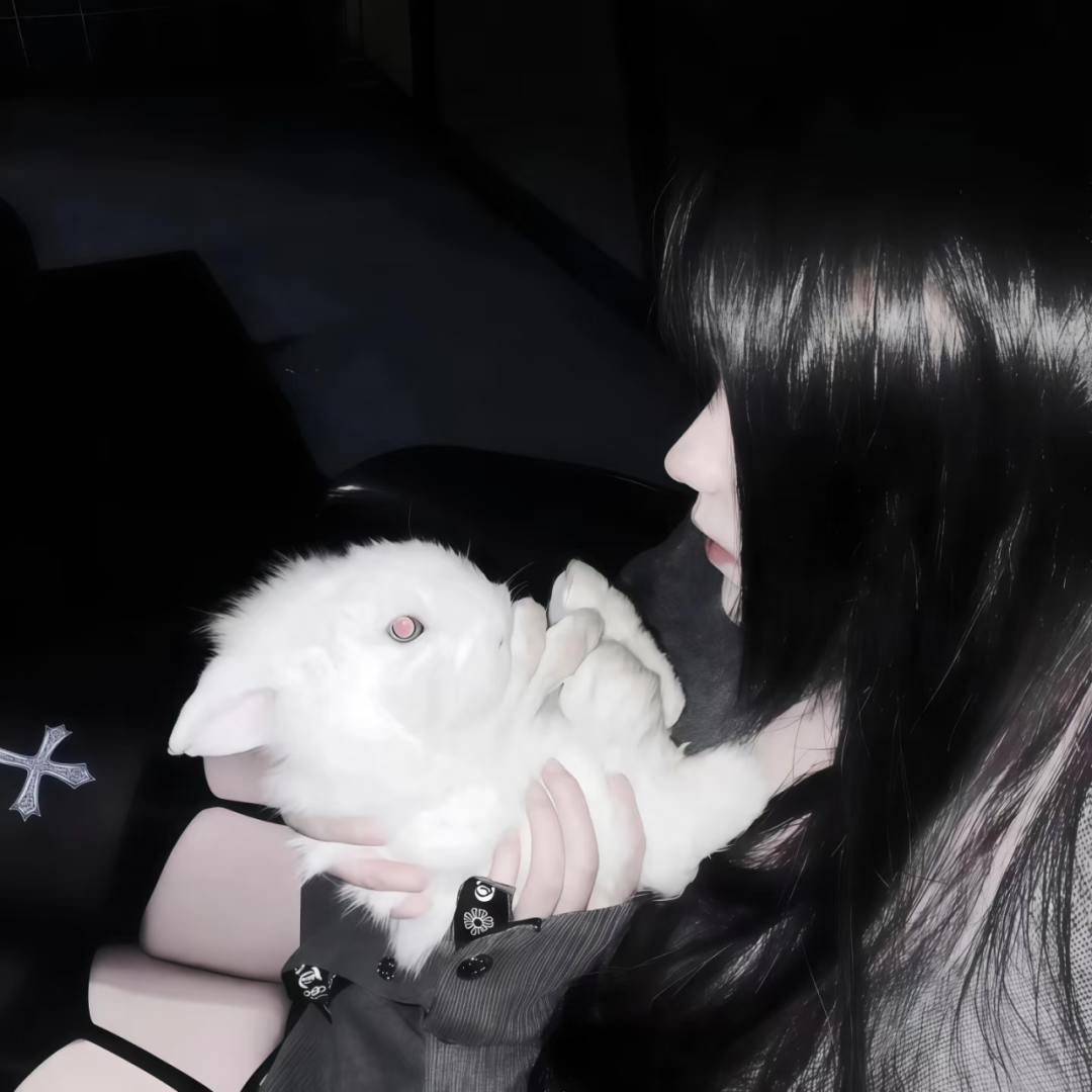 抱着兔子权威侧脸女生头像