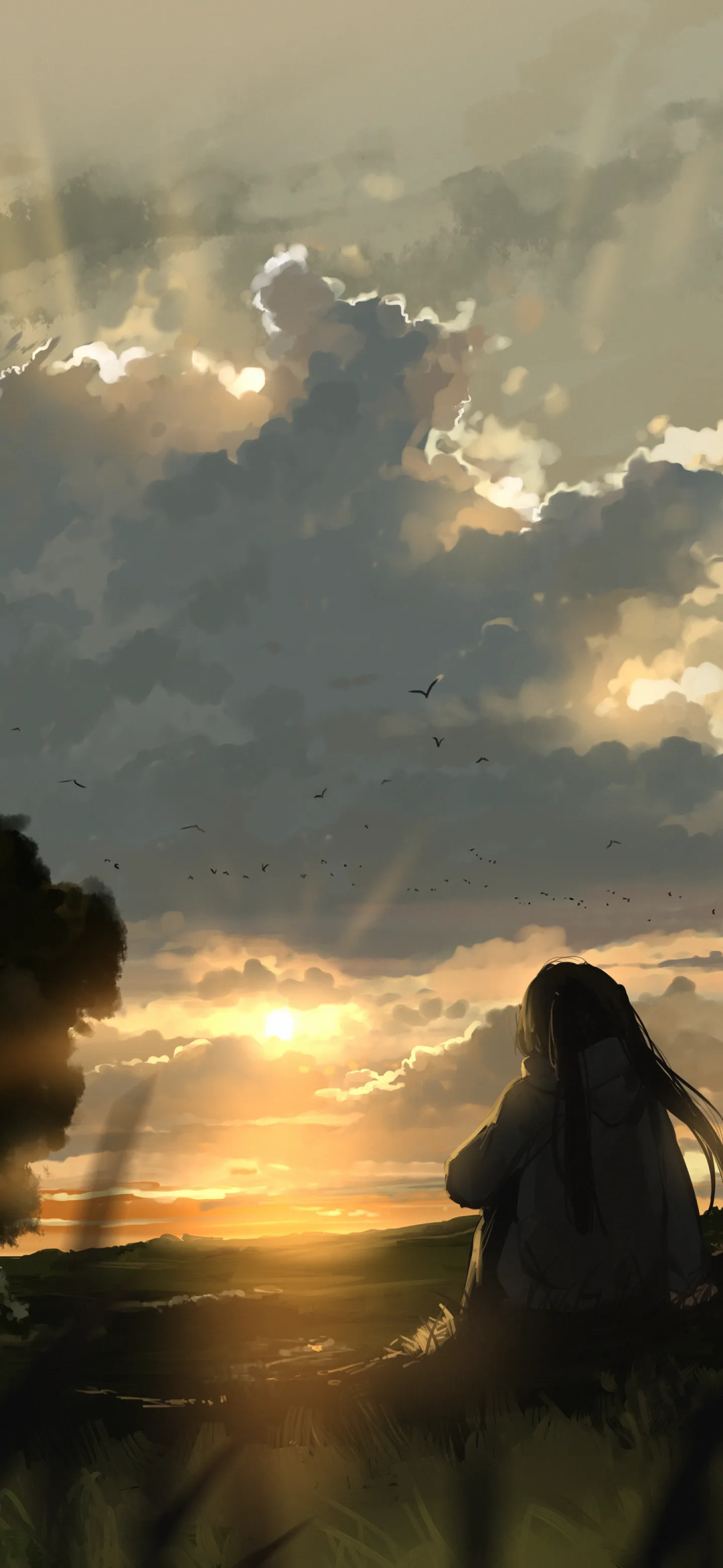 风景