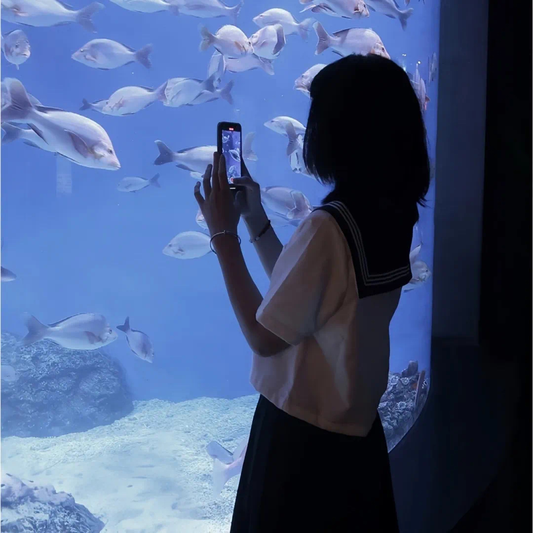 氛围感不露脸学院风女生头像