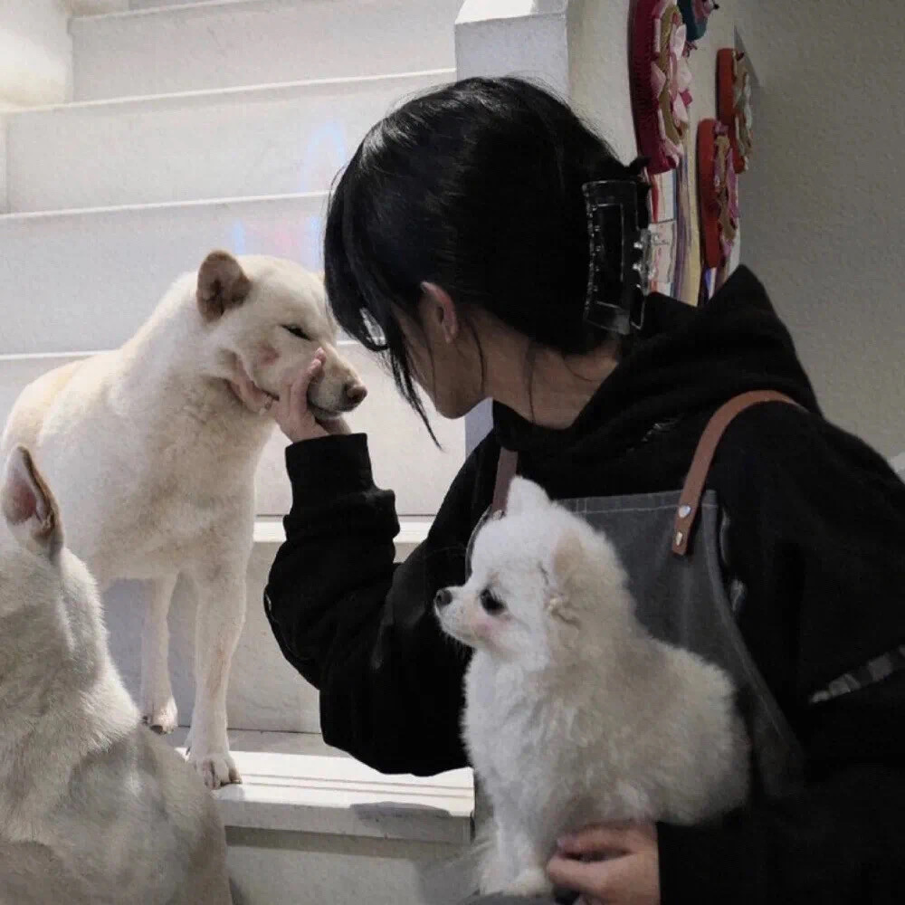 小众不露脸女生头像