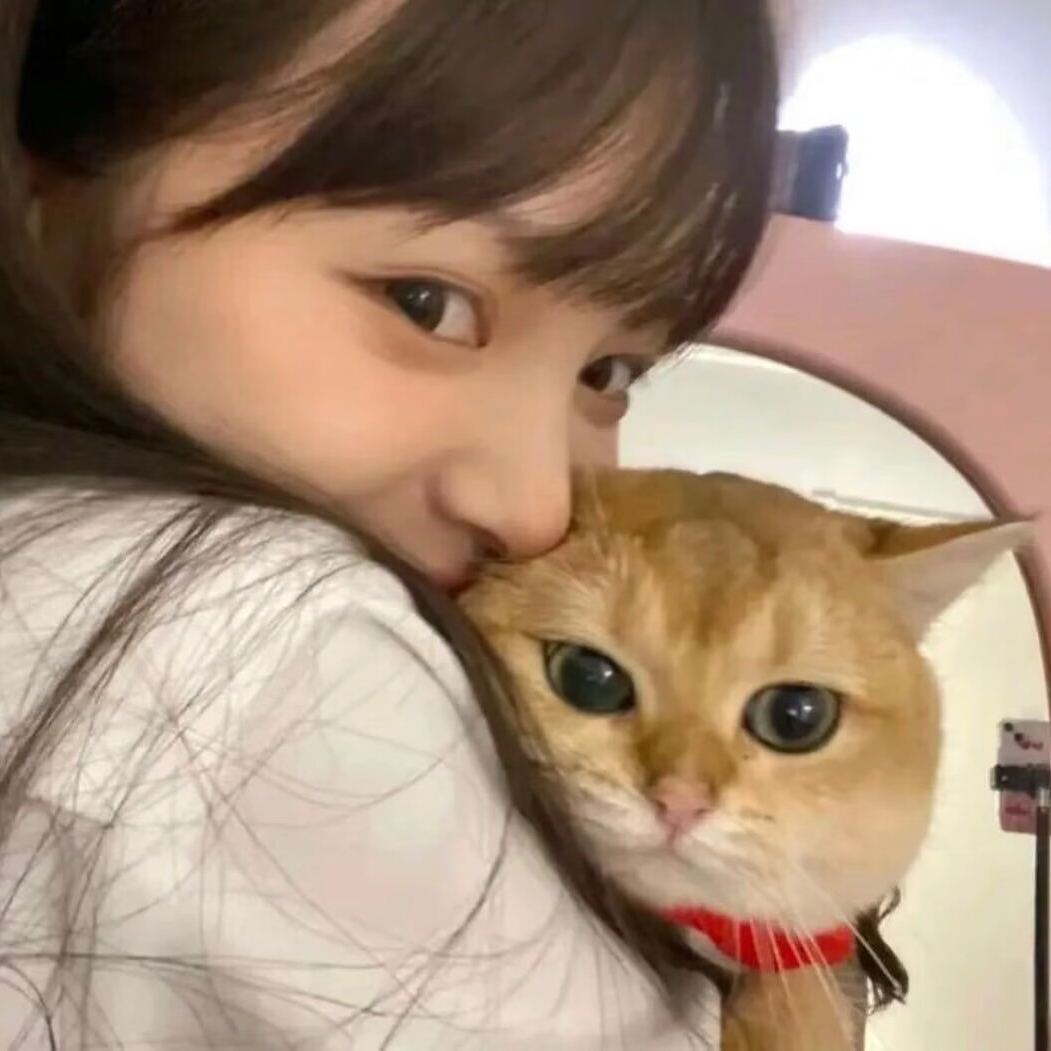 抱着猫咪侧脸女生头像