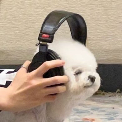 可爱狗狗萌宠头像