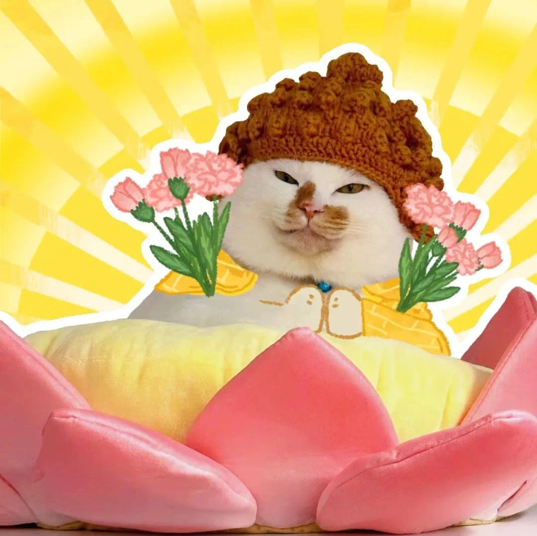 沙雕搞怪猫咪卡通头像