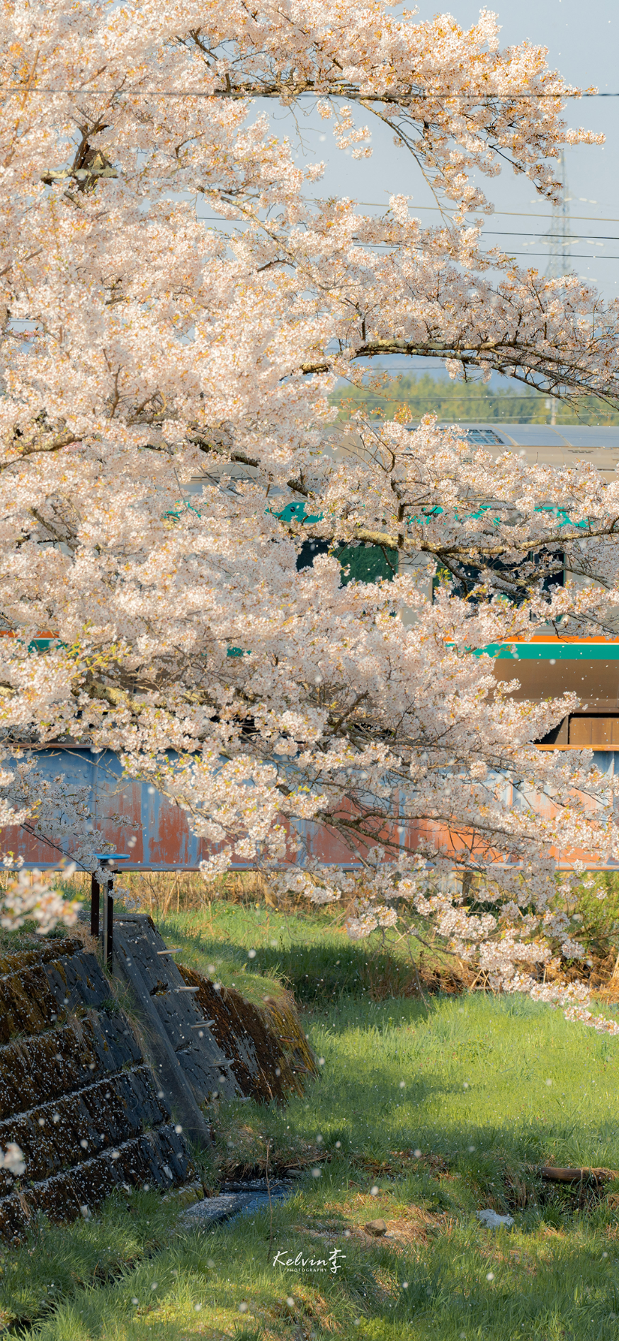 风景